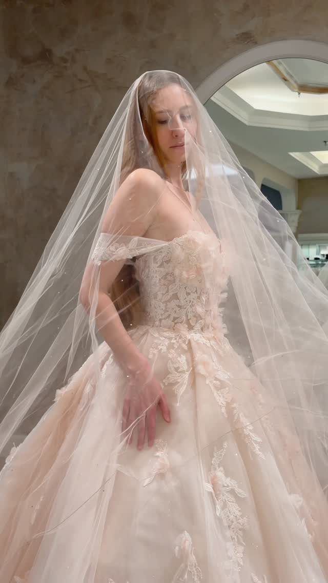 25 Blush Wedding Dress Ideas in Lace, Tulle, Silk and Sequins 2 Woman in a voluminous blush pink ball gown with floral lace and a sheer veil.
