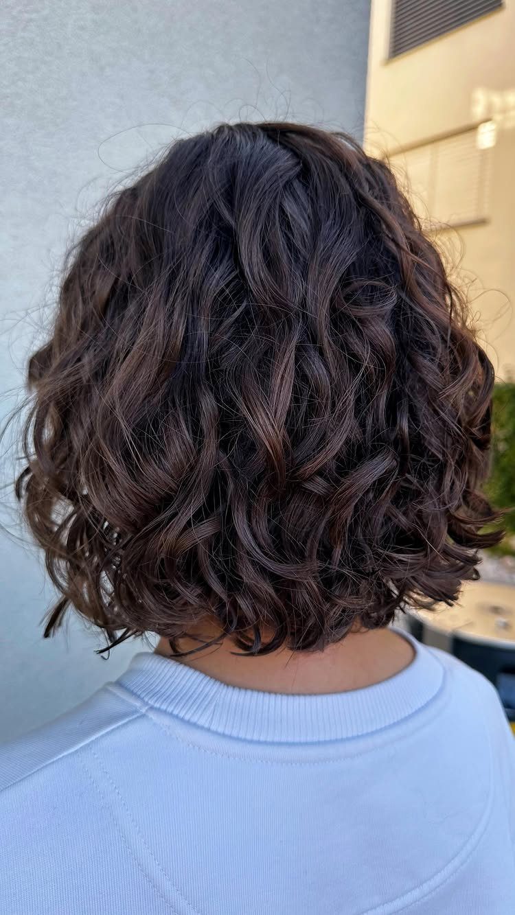 18 Medium Length Curly Hair Hairstyles, From Bobs to Shags 3 Dark brown curly bob haircut seen from behind on a person wearing blue.
